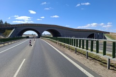 2.-Obiekt-PZGd-1-km-0541