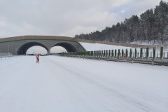 2.-Obiekt-PZGd-1-km-0541