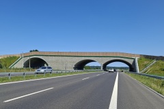 18.-Obiekt-PZGs-17-km-13637
