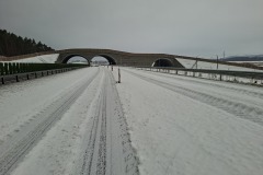 1.-Obiekt-PZGd-1-km-0541